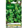 Graines - Vilmorin - Cresson de Fontaine à Larges Feuilles