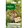 VILMORIN Laitue Batavia Blonde à bord rouge 5