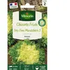 VILMORIN Chicorée frisée très fine maraîchère 3