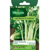 VILMORIN Céleri branche d’Elne