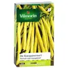 VILMORIN Haricot Rocquencourt Sachet de graines