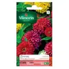 VILMORIN Zinnia a fleur monstrueuse varie