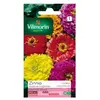 VILMORIN Zinnia Géant de Californie varie