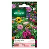 Vilmorin 5859542 Pack De Graines Fleur Pour Bouquets Champêtres