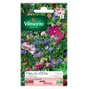 VILMORIN Jolies fleurs d ete en mélange