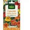 VILMORIN Capucine Valina variée