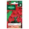 Graines de Capucine Valina Ecarlate Vilmorin