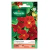 VILMORIN Capucine de lobb spit fire rouge