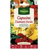 VILMORIN Capucine Diamant variée double naine