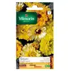 VILMORIN Souci double varie