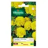 VILMORIN Oeillet d'Inde Globe citron