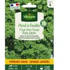 VILMORIN Persil frisé vert verbo gm