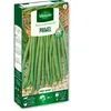 VILMORIN Haricot nain mangetout Primel