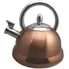 Baumalu 342782 Bouilloire 3 Litres Acier Inoxydable Coloris Cuivré