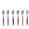 Laguiole Coffret 6 cuilleres cafe tonic mix dubost colas pradel loo60301ton