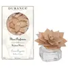 Fleur parfumée cèdre argenté