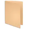EXACOMPTA Paquet de 100 chemises Super 250 en carte 210 g, coloris bulle