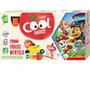Vitabio Pack Cool Manzana Fresa y Arándano 12x90g