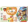 Vitabio - Cool Fruits Pomme Pêche Abricot - Bio - Etui carton - 12x90g