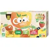 Vitabio Cool Fruits Multiparfums 4 recettes Gourdes de 12 x90g
