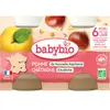 Babybio Fruits Pot Pomme Châtaigne +6m Bio 2 x 130g