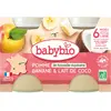Babybio Fruits Pot Pomme Banane Lait de Coco +6m Bio 2 x 130g