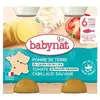 Babybio pomme de terre du Centre-Val de Loire tomate cabillaud 2x200g