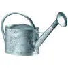 Guillouard - Arrosoir acier galvanisé avec pomme 6 litres