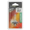 XL Tech 680017 1 lampadina H7, 55W 12 V,Long Life