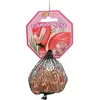 KIM'PLAY 20+1 Billes Flaman Rose