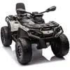 Vehicule Electrique Quad Outlander 12v Pour Enfant