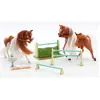 Royal Breeds -  Coffret Deux Chevaux Marrons
