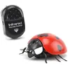 Coccinelle Radiocommandee