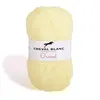 Non communiqué Laines Cheval Blanc - ORIENT fil à tricoter 100% acrylique 50g - Fil perlé