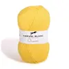 Non communiqué Laines Cheval Blanc - ORIENT fil à tricoter 100% acrylique 50g - Fil perlé
