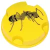 LUCIFER Anti-fourmis - 10 g