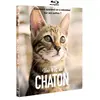 Koba Film Une vie de chaton Blu-ray