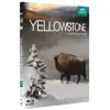 Koba Film Yellowstone, la lutte pour la vie Blu-ray