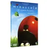 Editions Montparnasse Minuscule : la vie privée des insectes - Saison 1, DVD 1 - Thomas Szabo