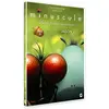 Editions Montparnasse Minuscule : La vie privée des insectes Saison 2 Volume 3 DVD