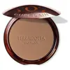 Terracotta La Poudre Bronzante - 96% d'ingrédients d'origine naturelle- GUERLAIN
