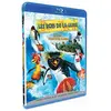 Escd Cnt Les Rois de la Glisse - Edition Blu-Ray