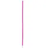 ZOLUX Laisse nylon xl 60cm fuchsia pour chien