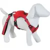 Harnais pour chien avec laisse EASY RIDE rouge XL Zolux