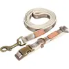 ZOLUX laisse imao taiga 25mm - 1.2m cho pour chien