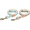 Zolux laisse imao taiga 15mm - 1.2m cho pour chien