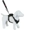 Zolux - Harnais et Laisse Enrouleur intégré XS Noir pour Petit Chien Max 9 kg