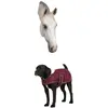 Couverture pour chien polaire Diego & Louna Teddy TU