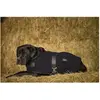 Couverture pour chien polaire Diego & Louna Teddy Noir 31 cm/12" 40903...