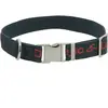 Collier pour chien en nylon Diego & Louna Gris 50 cm x 2,50 cm 4092510...